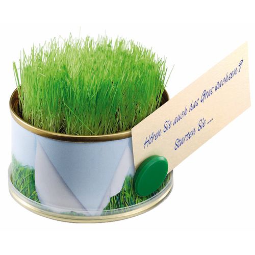 Miniature Garden Grass with magnet