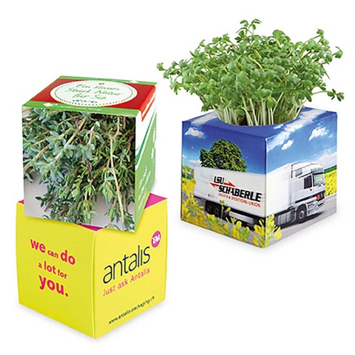 Cube à planter 2.0 avec graines - Thym