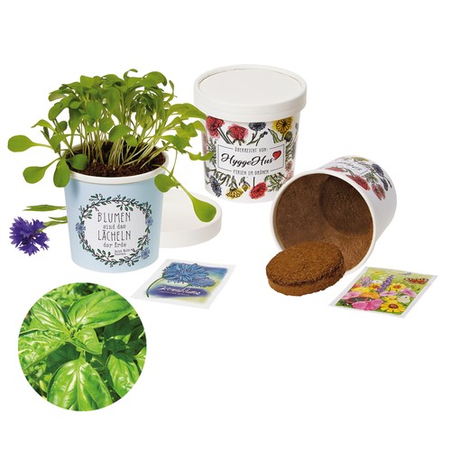Cup Flower - zaadset - Basilicum