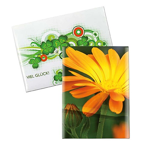 Zaadzakjes mini standaard papier - Goudsbloem