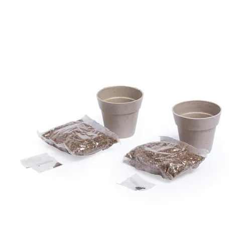 aromatyczne zioła aromatyczne zioła