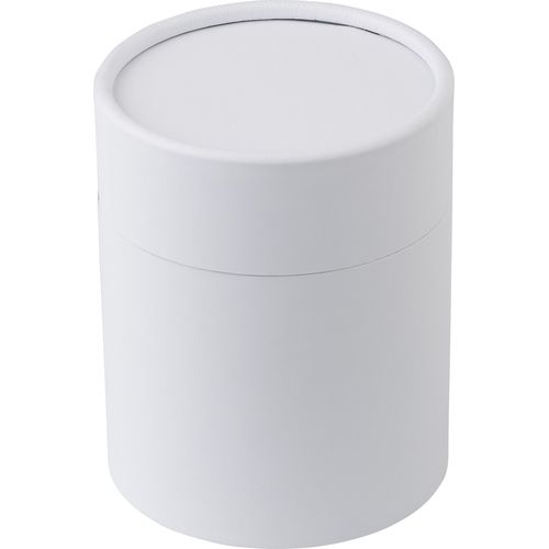 Glass candle Matthew Glass candle Matthew