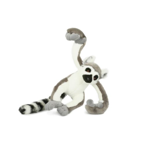 SEMO-Acrobates Katta 25 cm SEMO-Acrobates Katta 25 cm