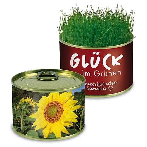 Boite de conserve Nature avec graines - Tournesol Boite de conserve Nature avec graines - Tournesol