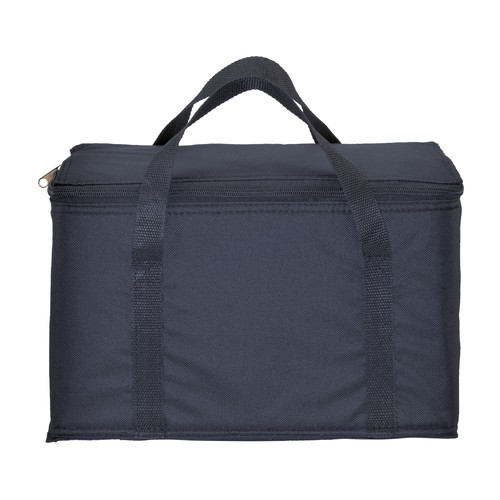 Cooler bag with silver interior