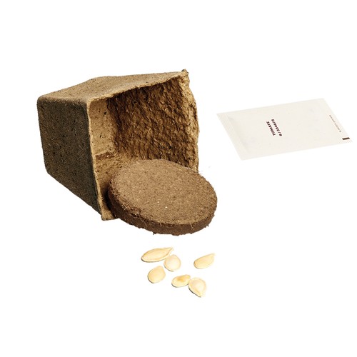 Vegetable Garden Seed Set (large) - Cress Vegetable Garden Seed Set (large) - Cress