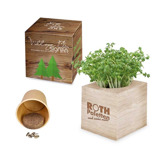 Plant-cube 2.0 with seeds - Christmas - Basil