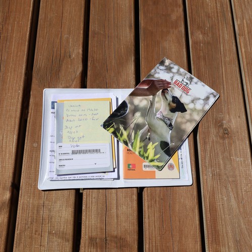 CUSTOMIZABLE VACCINE BULLETIN HOLDER