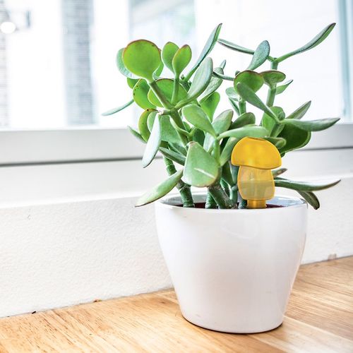 ECOLOGICAL AUTONOMOUS WATERING CAN ECOLOGICAL AUTONOMOUS WATERING CAN