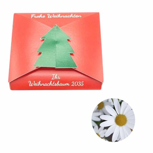 Closure – Fir Tree Seed Card - Oxeye daisy Closure – Fir Tree Seed Card - Oxeye daisy