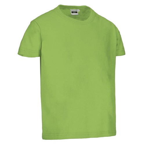 Camiseta infantil M/C DINO Camiseta infantil M/C DINO