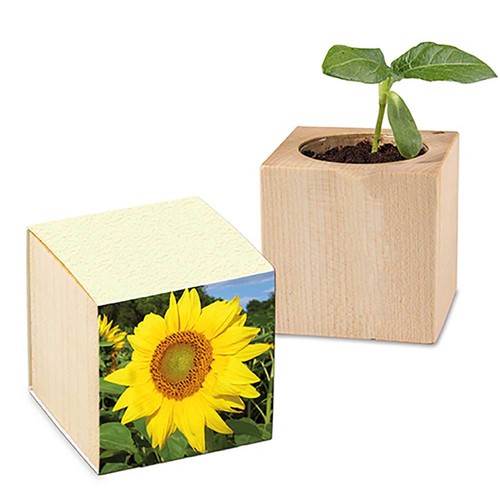 cubo publicitario
