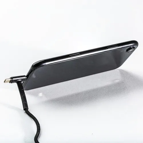 Cable de Charge avec Connexion 3 en 1 REEVES-CHESTER