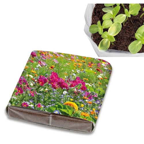 Set de plantation Pop-up avec graines - Mélange de fleurs d'été