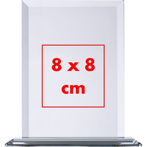 Gran trofeo en cristal.