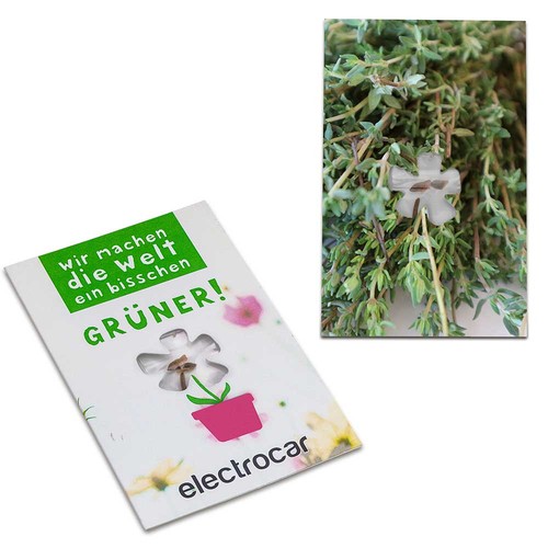 erbe aromatiche