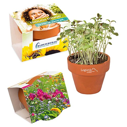Mini pot terre cuite, fourreau complet - Mélange de fleurs d'été