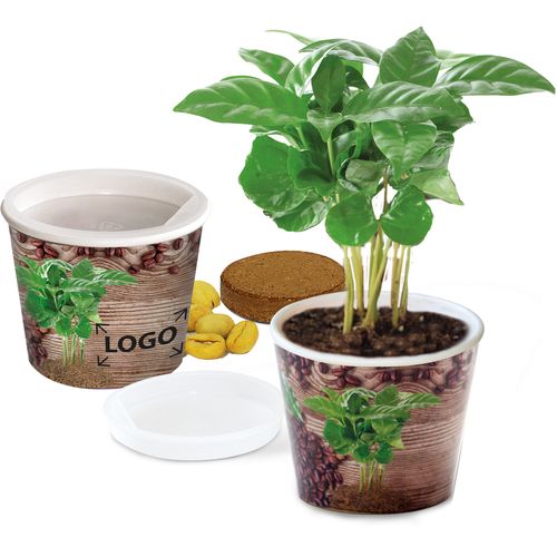 Coffee 2Grow Coffee 2Grow