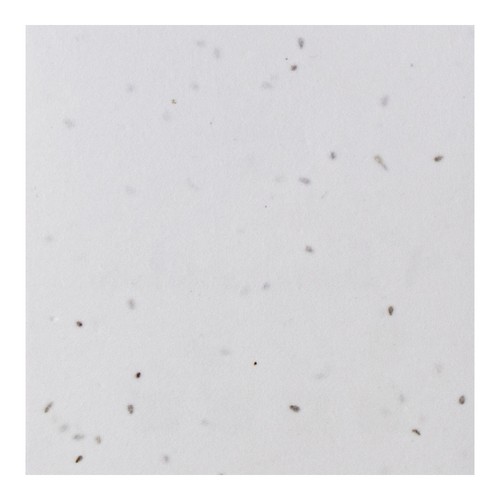 GERMINA COASTER 200GR 2 SIDES