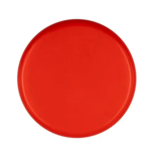 frisbee frisbee