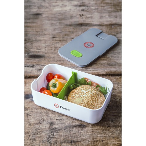 contenitore per il pranzo contenitore per il pranzo
