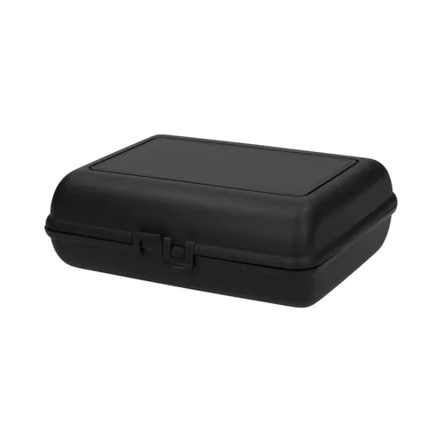 lunch box lunch box