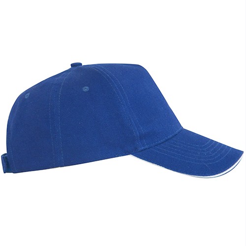 5 panels cap. ERIS