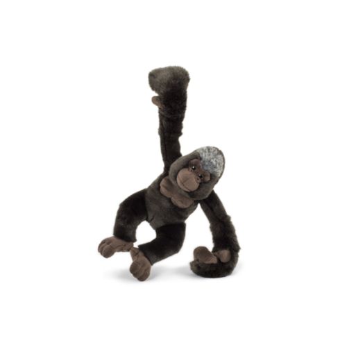 "SEMO-Acrobats" Gorilla