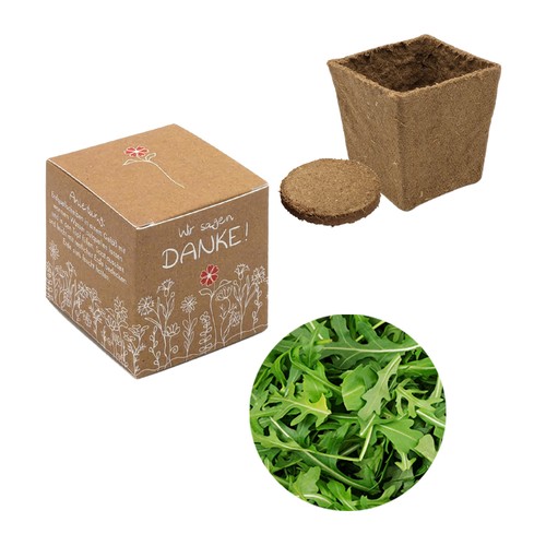 Cube-plantset (klein) - Rucola