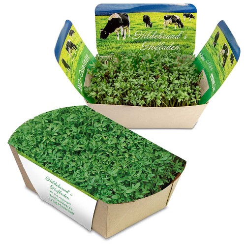 Jardinodrome avec graines - Cresson de jardin Jardinodrome avec graines - Cresson de jardin