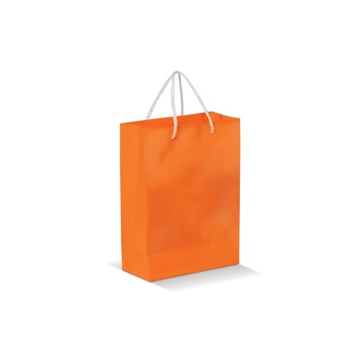 Paper bag large