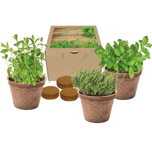 Coco Planting Set Italian Cuisini