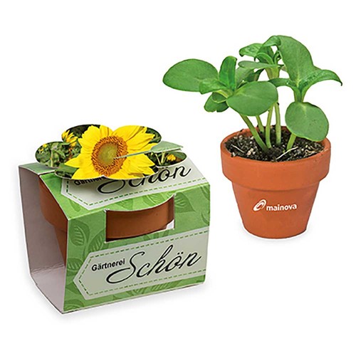 Mini pot terre cuite en fourreau fleur avec graines - Tournesol Mini pot terre cuite en fourreau fleur avec graines - Tournesol