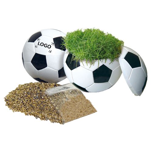 Crazy Football Crazy Football