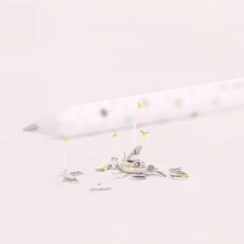 Crayon avec des graines Crayon avec des graines