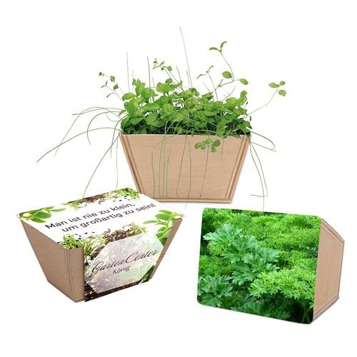 erbe aromatiche
