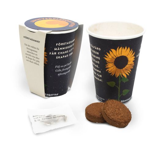 Bicchhiere di carta set cotivazione semi