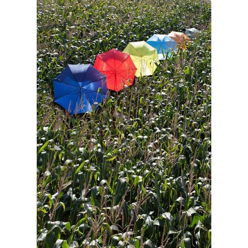Polyester (190T) umbrella Andy