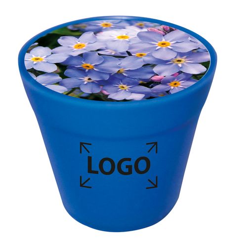 Business Pot Forget-me-not