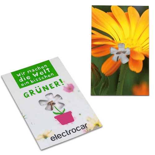 Carte avec graines-mini fleur - Souci Carte avec graines-mini fleur - Souci