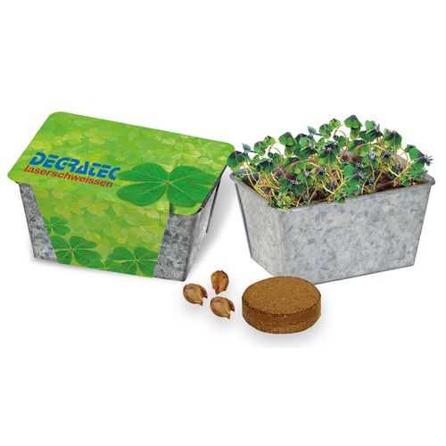 Petite caisse Porte-Bonheur Petite caisse Porte-Bonheur