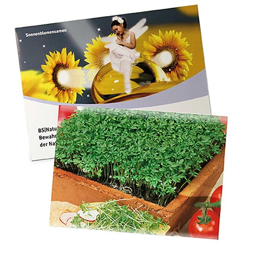 Zaadzakjes groot - Tuinkers Zaadzakjes groot - Tuinkers
