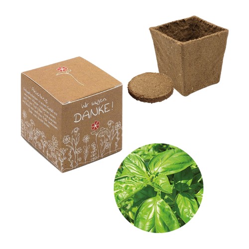 Cube-plantset (klein) - Basilicum