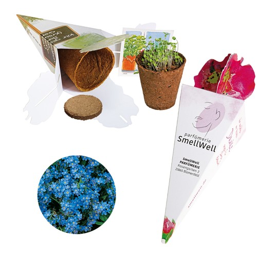 Sac magique - kit de graines - Myosotis