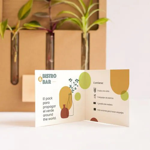 El Propagador El Propagador