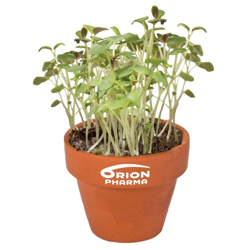 Mini pot terre cuite, fourreau complet - Piment Mini pot terre cuite, fourreau complet - Piment