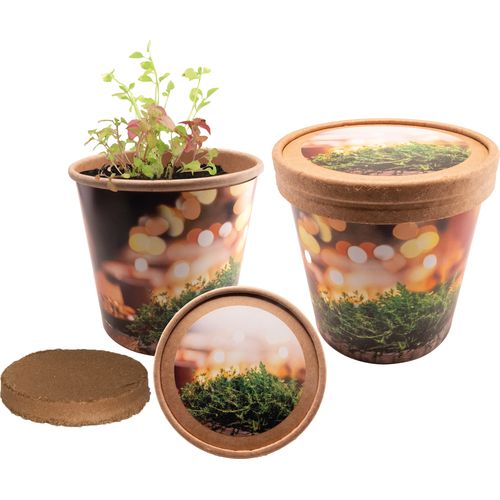 Christmas Herbal Greetings Christmas Herbal Greetings