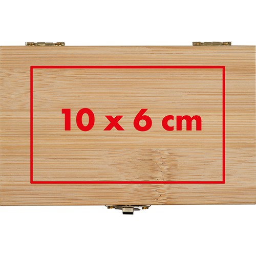 Ice cube set in Bamboo case