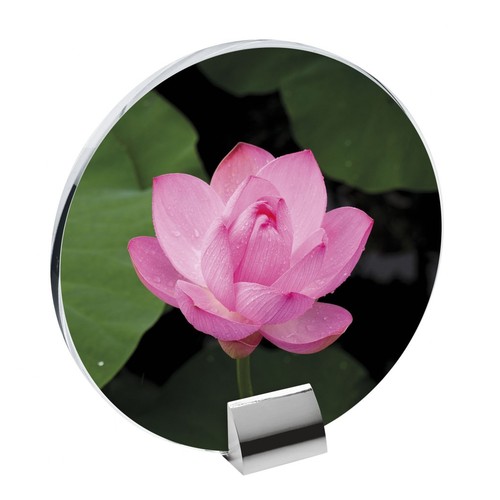 GLASS WITH BUILT-IN STAND 200X195