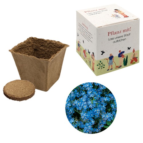 Cube-plantset (groot) - Vergeet-mij-nietje